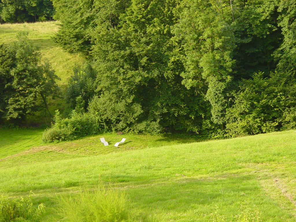 La Parenthese Bed and Breakfast Saint-Genix-sur-Guiers Exteriör bild